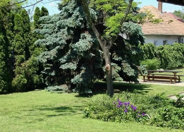 Gyongyvirag Vendeghaz