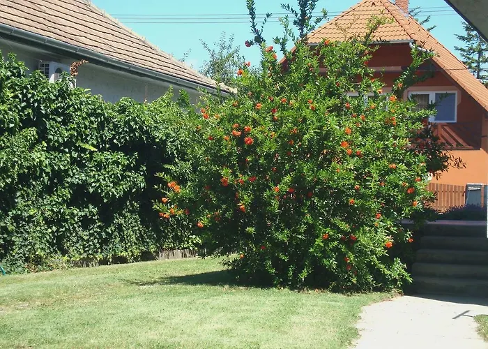 Gyongyvirag Vendeghaz דירה *